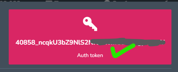 Плашка с Auth Token в настройках бота ProTalk